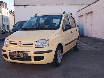 Usata Fiat Panda Dynamic 60 CV (44 kW) 2010 Giallo Utilitaria