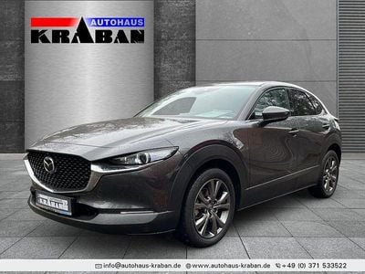 Gebraucht Mazda CX-30 Selection 179 PS (131 kW) 2020 Machine gray SUV