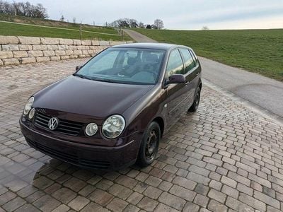 Usata VW Polo Comfortline 64 CV (47 kW) 2003 Viola Berlina