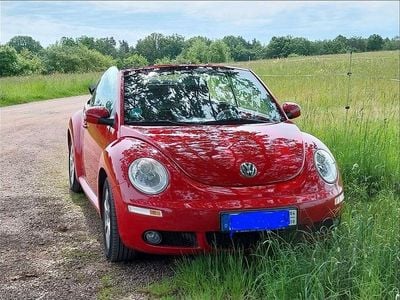 VW Beetle