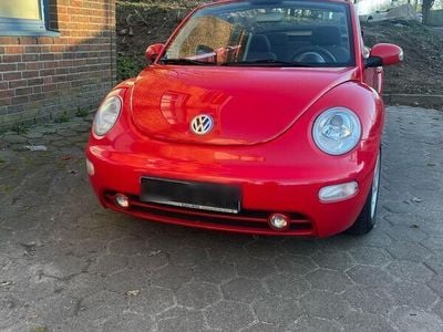 VW Beetle