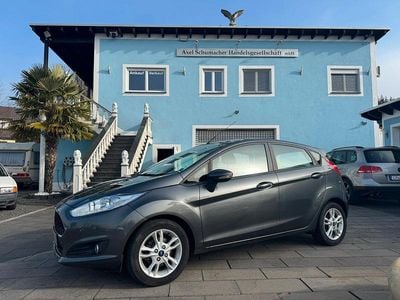 Gebraucht Ford Fiesta Trend 95 PS (69 kW) 2016 Grau Kleinwagen