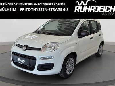 Gebraucht Fiat Panda Icon 65 PS (47 kW) 2026 Weiss Kleinwagen