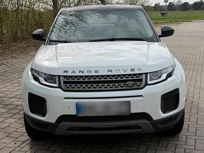 Gebraucht Land Rover Range Rover evoque 150 PS (110 kW) 2018 Weiß SUV
