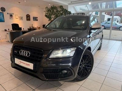 Grau Gebraucht 2017 Audi SQ5 Competition SUV | 27.990 € (Fairer Preis)