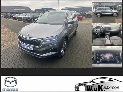 Grau Gebraucht 2024 Skoda Karoq Selection SUV | 28.790 € (Guter Preis)