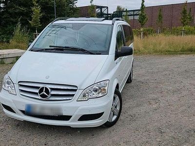 Mercedes Viano