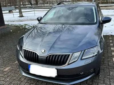 Gebraucht Skoda Octavia Clever 150 PS (110 kW) 2018 Grau Kombi