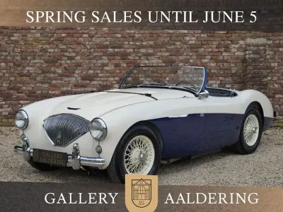 Brugt Austin Healey 100 1954 Hvid Cabriolet