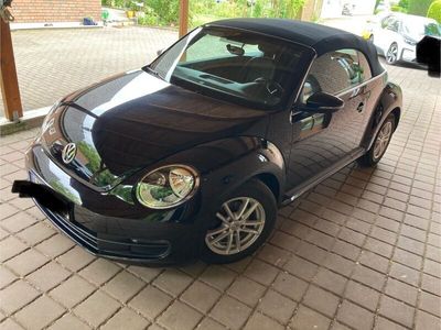 gebraucht VW Beetle Beetle 1.2 TSI BMT Cabriolet - VWCabrio