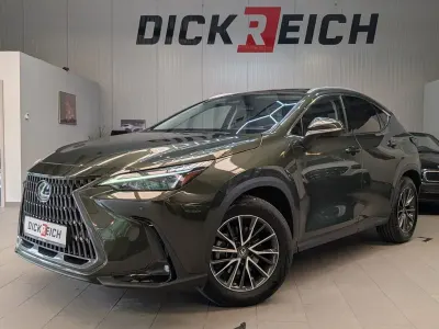Gebraucht Lexus NX350h Business Edition 190 PS (139 kW) 2023 Terrane khaki SUV