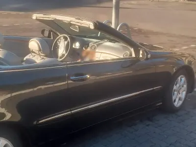 Brugt Mercedes CLK200 163 HK (119 kW) 2003 Sort Cabriolet