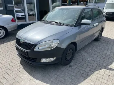 Brugt Skoda Fabia