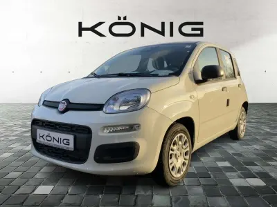 Neu Fiat Panda 69 PS (50 kW) 2025 Gelato weiß dach schwarz (weis Kleinwagen