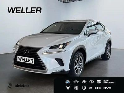 Gebraucht Lexus NX300h 197 PS (144 kW) 2018 Titaniumweiß SUV