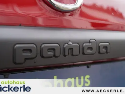 Gebraucht Fiat Panda Cross Cross 69 PS (50 kW) 2023 Kleinwagen
