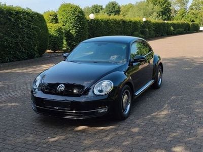 VW Beetle