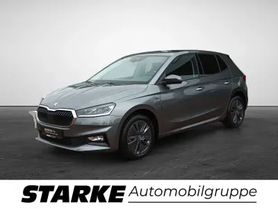 Brugt Skoda Fabia Tour 116 HK (85 kW) 2025 Grå Hatchback