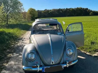 Gebraucht VW Käfer 32 PS (23 kW) 1958 Silber Kleinwagen