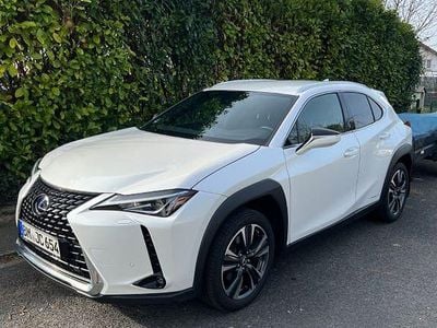 Gebraucht Lexus UX 184 PS (135 kW) 2020 Weiß SUV