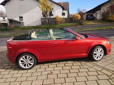 gebraucht Audi A3 Cabriolet A3 1.6 Ambition