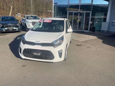 Gebraucht Kia Picanto Edition 7 67 PS (49 kW) 2023 (ud) schneeweiss Kleinwagen