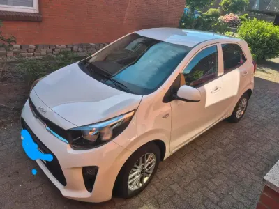 Używany Kia Picanto