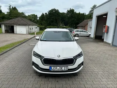 Gebraucht Skoda Octavia Ambition 116 PS (85 kW) 2023 Weiß Kombi