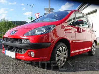 Gebraucht Peugeot 1007 88 PS (64 kW) 2005 Rot Van / Kleinbus