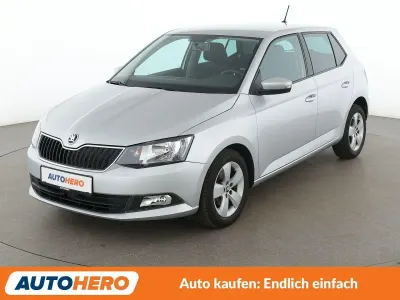 Gebraucht Skoda Fabia Ambition 75 PS (55 kW) 2016 Grau Kleinwagen