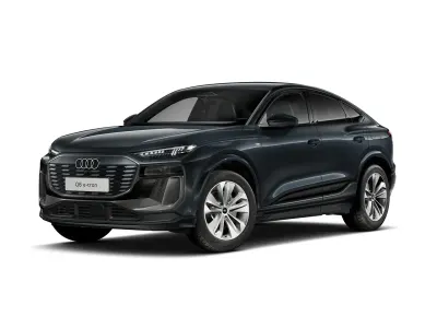 Gebraucht Audi Q6 Sportback e-tron