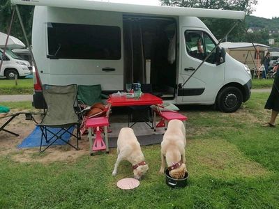 Gebraucht Renault Master 125 PS (91 kW) 2014 Weiß Van / Kleinbus