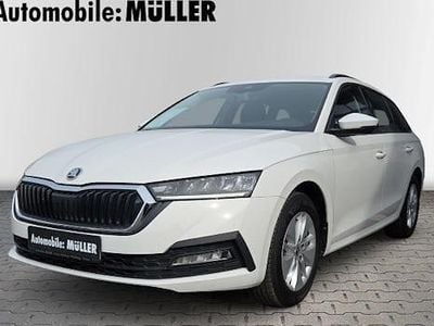 Usata Skoda Octavia Ambition 115 CV (84 kW) 2023 Bianco Station wagon
