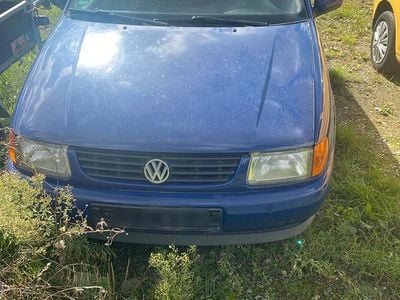 VW Polo