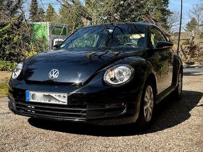 VW Beetle
