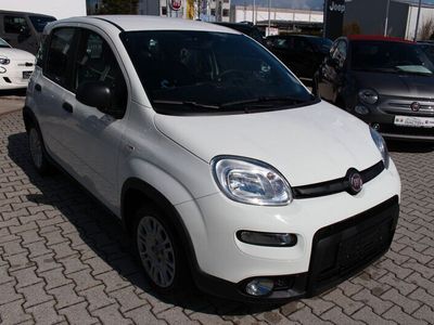 gebraucht Fiat Panda Hybrid 1.0 GSE Flex Light-Paket, Komfort-P