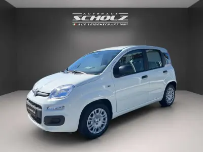Nuova Fiat Panda Icon 65 CV (47 kW) 2026 Bianco Utilitaria