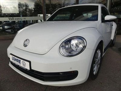 VW Beetle