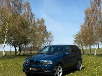 Brugt BMW X5 231 HK (169 kW) 2001 Blå SUV