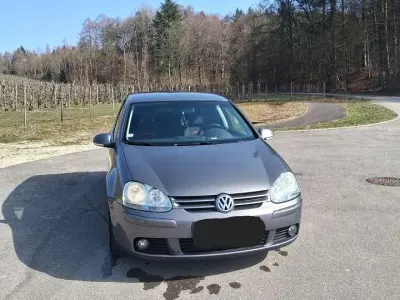 Gebraucht VW Golf IV Goal 116 PS (85 kW) 2006 Grau Limousine