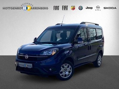 Usata Fiat Doblò 120 CV (88 kW) 2019 Blu Monovolume