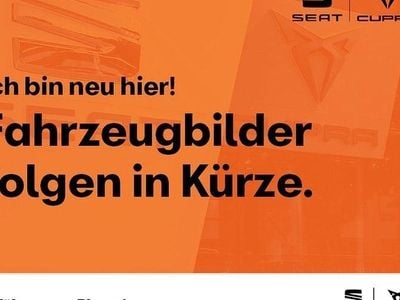 Gebraucht Cupra Terramar 204 PS (150 kW) 2025 Timanfayagrau SUV