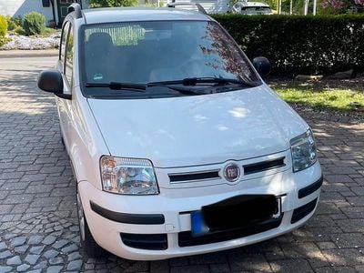 Gebraucht Fiat Panda 69 PS (50 kW) 2011 Weiß Kleinwagen