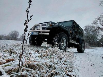 Gebraucht Jeep Wrangler 180 PS (132 kW) 1992 Schwarz SUV