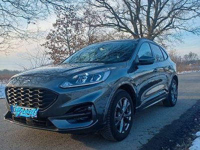 Gebraucht Ford Kuga ST-Line 224 PS (164 kW) 2024 Grau SUV
