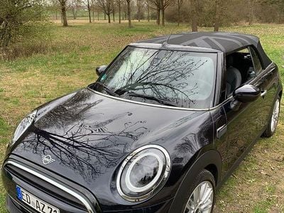 Gebraucht Mini Cooper 136 PS (100 kW) 2024 Schwarz Kleinwagen