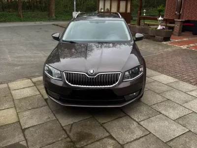 Używany Skoda Octavia 180 KM (132 kW) 2016 Brązowy Kombi