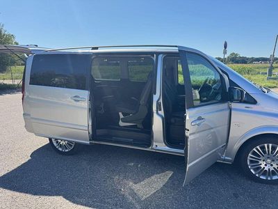 Mercedes Viano