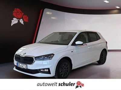 Moonweiß perleffekt Gebraucht 2025 Skoda Fabia Tour Limousine | 24.789 € (Etwas zu teuer)