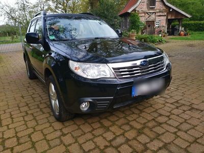 gebraucht Subaru Forester LPG SHS SH5